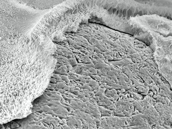 Kohlendioxid reagiert mit den kristallinen CSH-Phasen des Kalksandsteins zu Calciumcarbonat (CaCO3).