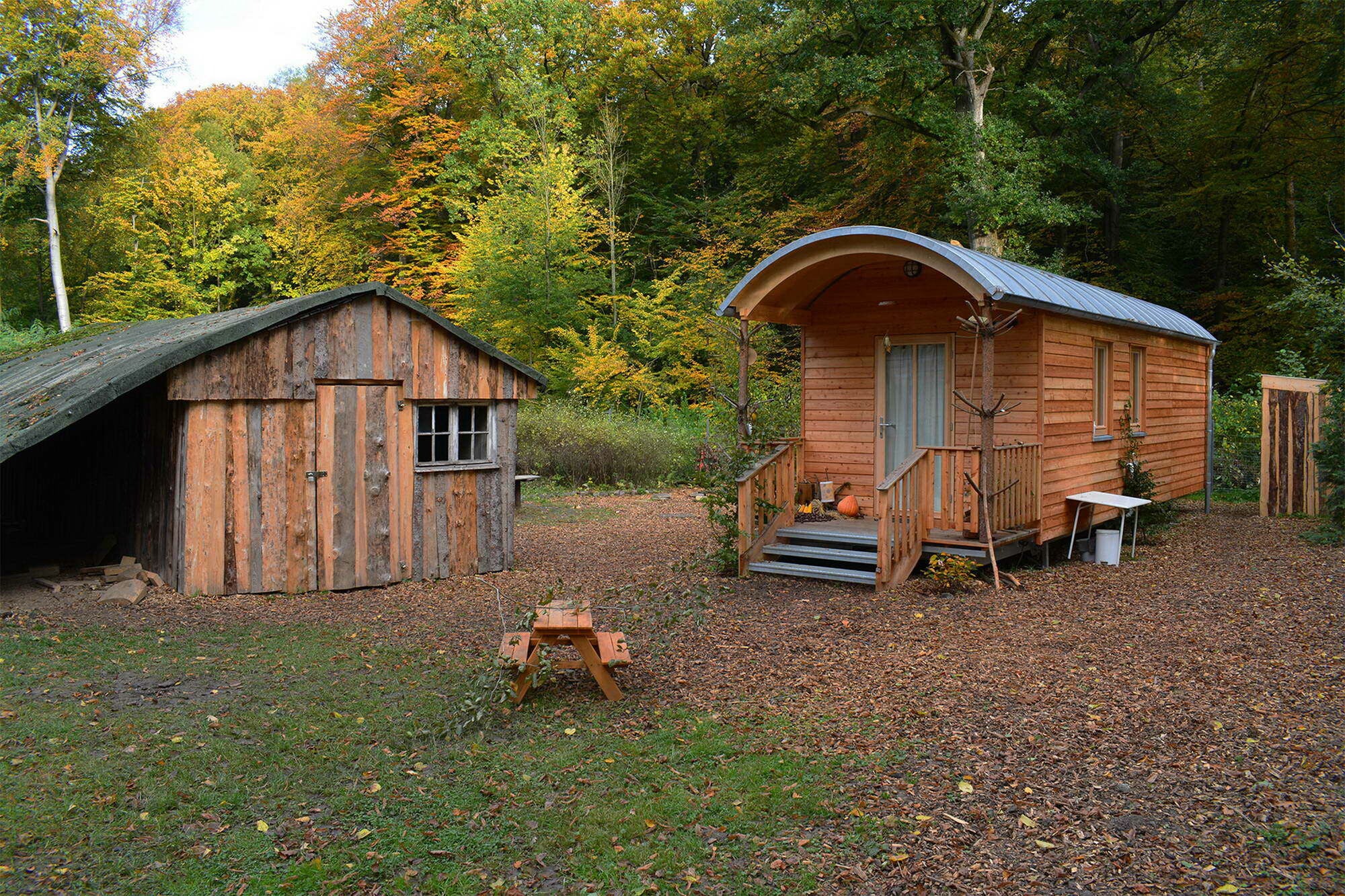 Beim Bauwagen des Waldkindergartens in Melle legte man großen Wert auf ökologische Baustoffe.