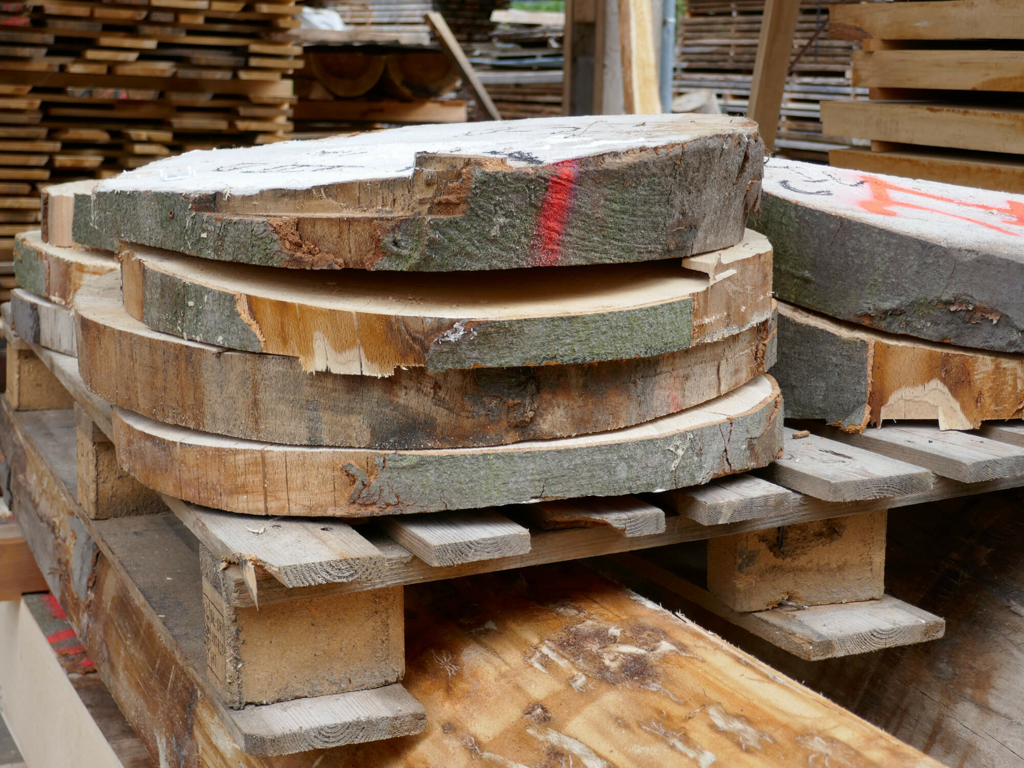 Bei der Holzverarbeitung fallen jedes Jahr weltweit mehrere Millionen Tonnen Rinde an, die bislang oft als Rindenmulch oder zu Humus kompostiert im Gartenbau verwendet wird oder zur Heizwärmeerzeugung genutz wird.