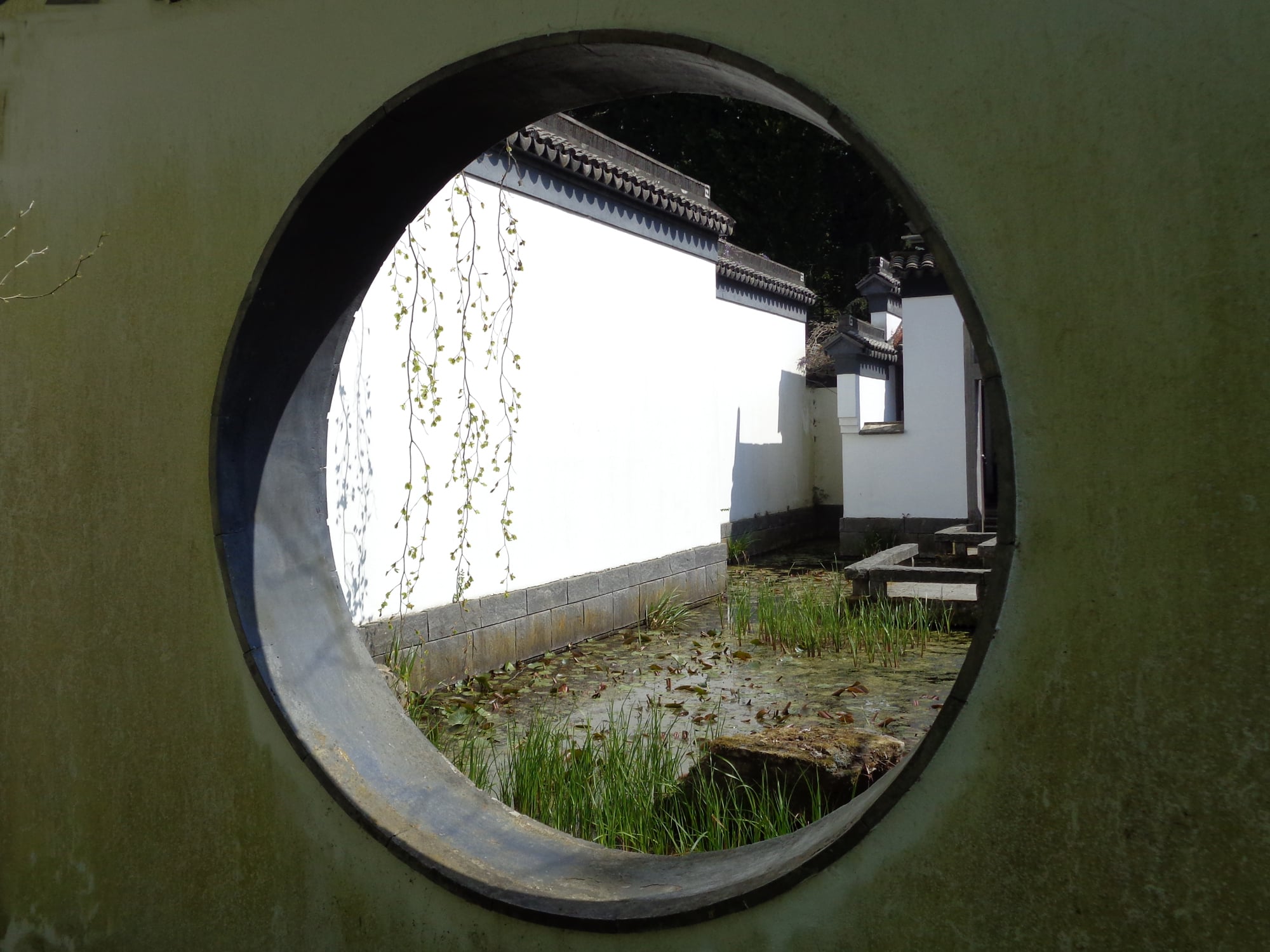Das Mondtor rahmt und lenkt den Blick auf eine durchkomponierte Szene, zum Beispiel auf ein Wasserbassin und die Gartenmauer (Chinesischer Garten im Botanischen Garten, Ruhr-Universität Bochum).