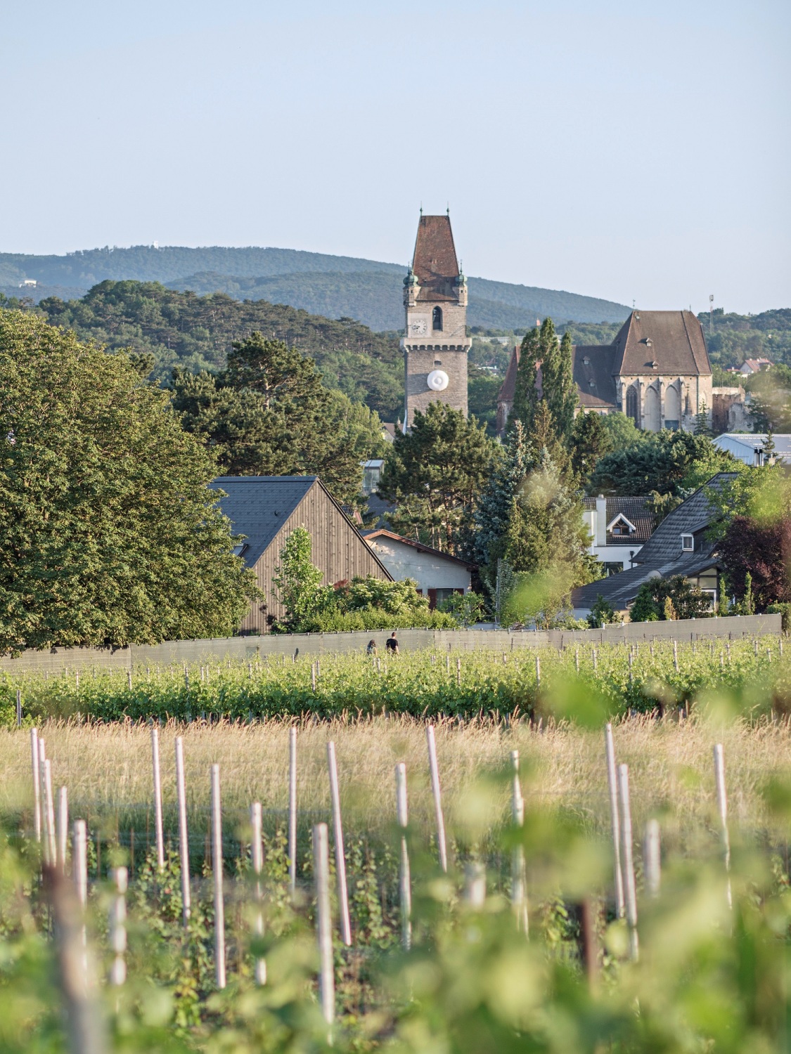 Das Haus liegt am Rande der von Weinbau geprägten Gemeinde Perchtoldsdorf.