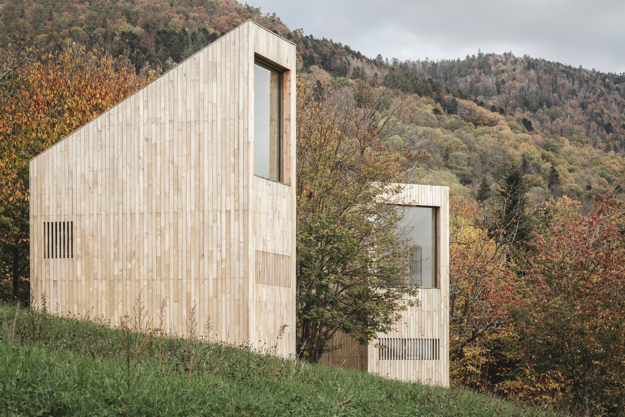 Die Architekten entwarfen vier Haustypen: „Ivy“ ist zweigeschossig und hat ein Pultdach.