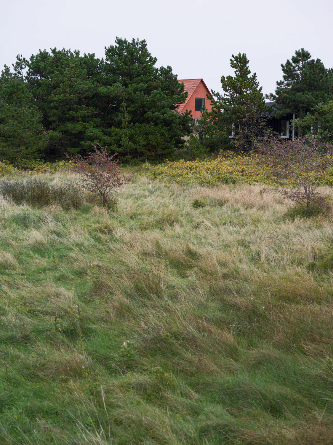 Zwischen Gras, Gebüsch und Nadelbäumen fällt der rötliche Giebel des Wohnhauses sofort auf.