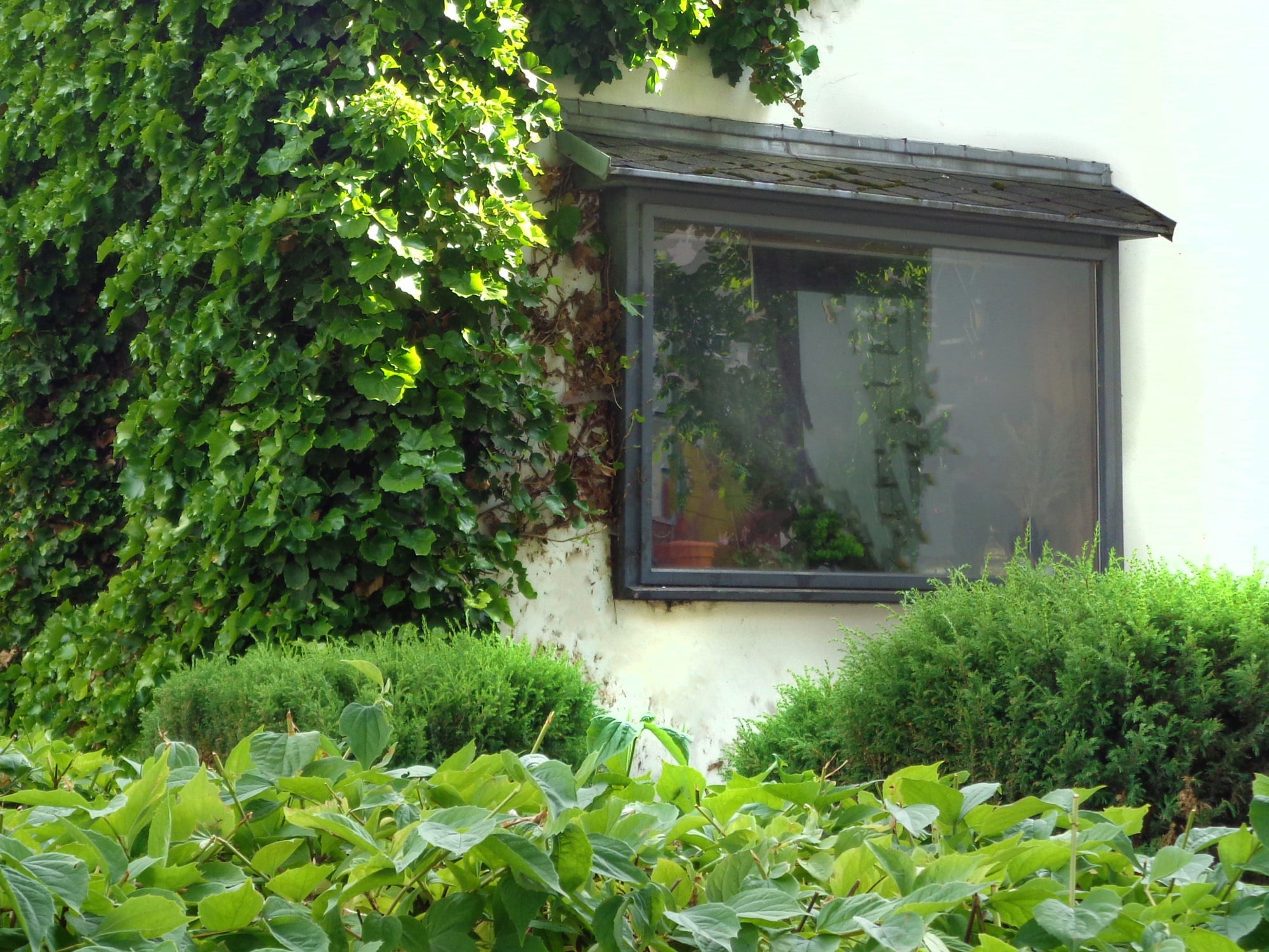 Blumenfenster waren besonders in den 1950er- und 60er-Jahren bei Einfamilienhäusern in Mode.
