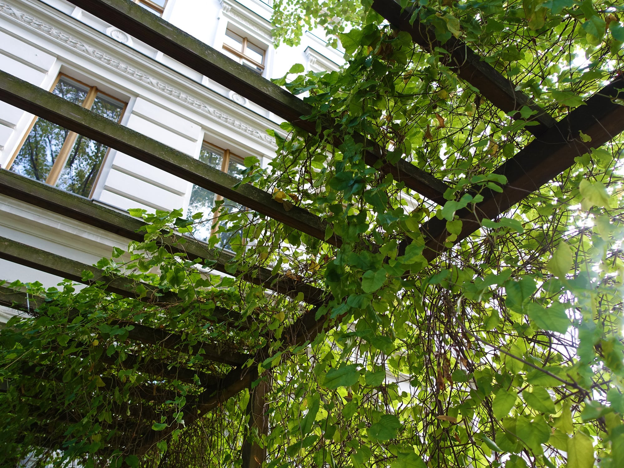 Als Pergola (lateinisch pergula = Vor-, Anbau) wird eine Konstruktion bezeichnet, die einen seitlich und oben offenen Raum bilden, beispielsweise als Zentralraum wie ein Pavillon oder linear als Gang oder Galerie. 