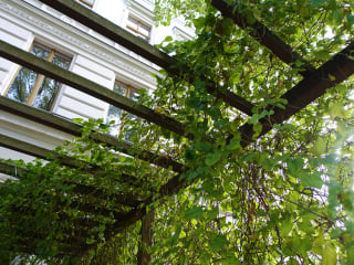 Als Pergola (lateinisch pergula = Vor-, Anbau) wird eine Konstruktion bezeichnet, die einen seitlich und oben offenen Raum bilden, beispielsweise als Zentralraum wie ein Pavillon oder linear als Gang oder Galerie. 