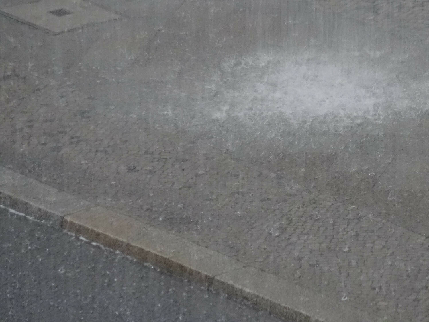 Es ist zu erwarten, dass Starkregenereignisse künftig zunehmen. Um Überflutungen vorzubeugen, sind Vorgaben zur Regenwasserbewirtschaftung notwendig.