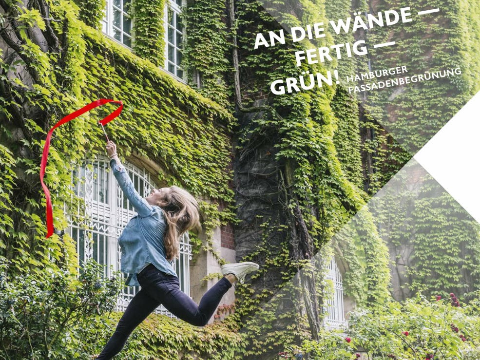 Titelblatt des Handbuchs Grüne Wände