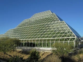 Historische Fotografie eines Wardschen Kasten in den Royal Botanic Gardens, Kew