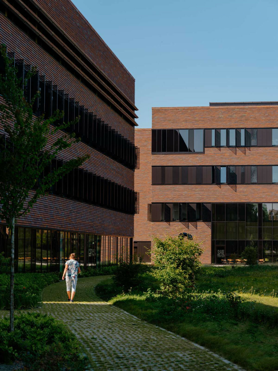 Der Neubau entstand aus dem Wunsch der norwegischen Regierung, dass Land zu einer führenden Nation in der Erforschung von Biosicherheit und der Verbreitung von Infektionskrankheiten entwickelt werden sollte. 