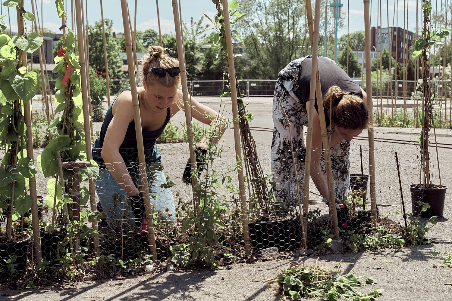 Mit den Landschaftsarchitekt*innen von atelier le balto pflanzen die Teilnehmenden einen vertikalen Garten auf dem Recyclinghof.