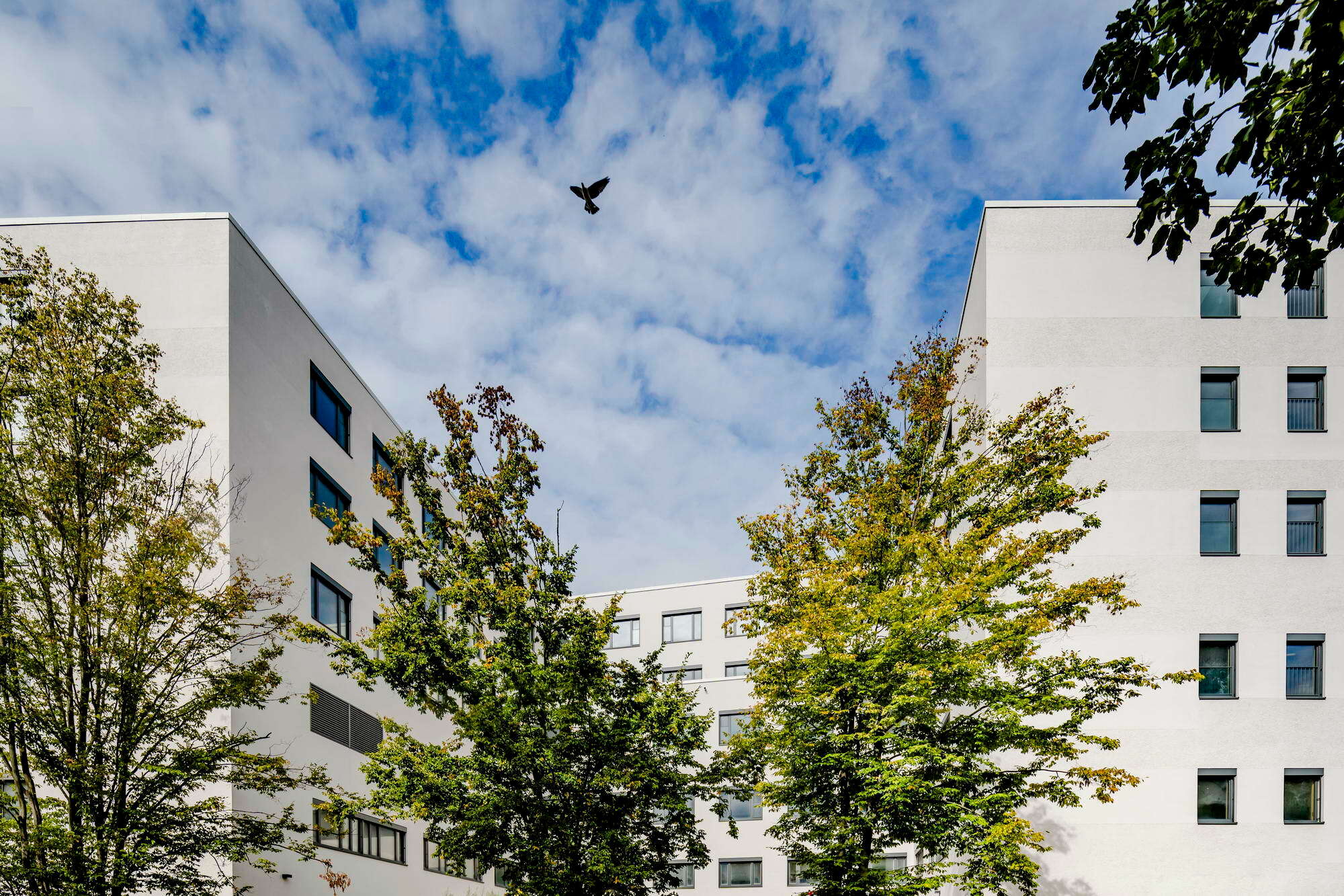 Damit möglichst viele Patientenzimmer einen freien Blick und viel Tageslicht erhalten, entschieden sich die Planenden für einen sich wiederholenden H-förmigen Grundriss.