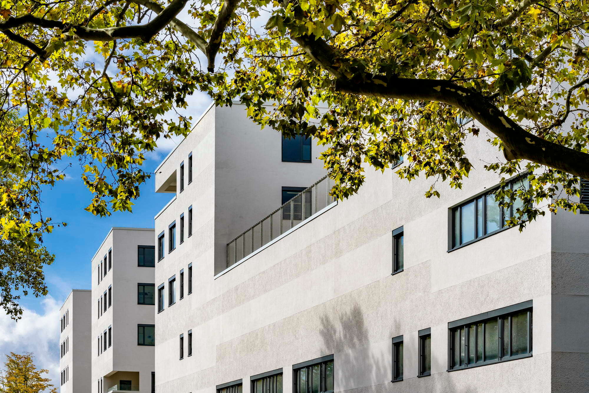 Varisano Klinikum in FrankfurtHöchst Gebäudetechnik Sonderbauten