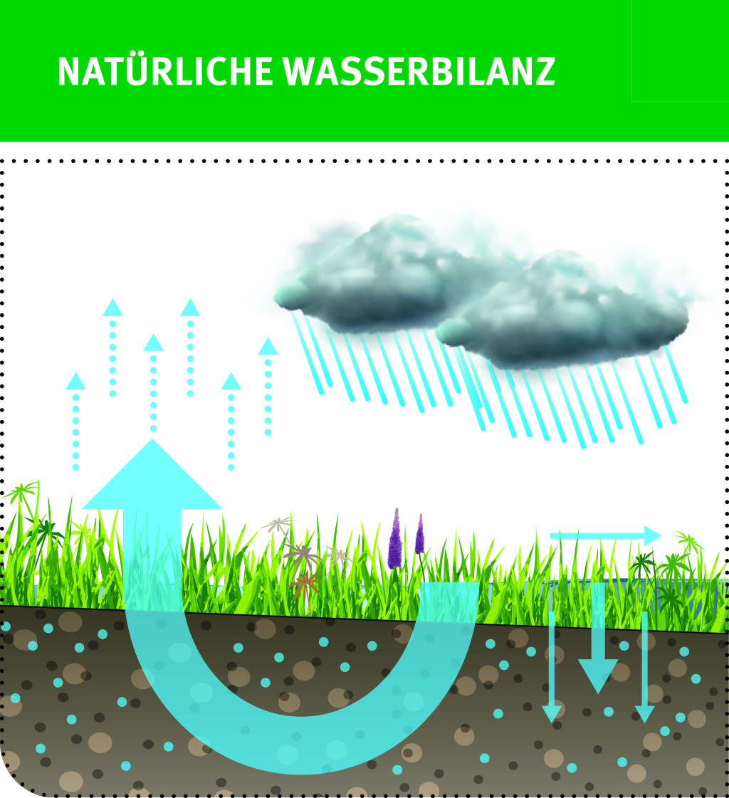 Vergleich Wasserbilanz versiegelte Flächen zu unversiegelten Flächen