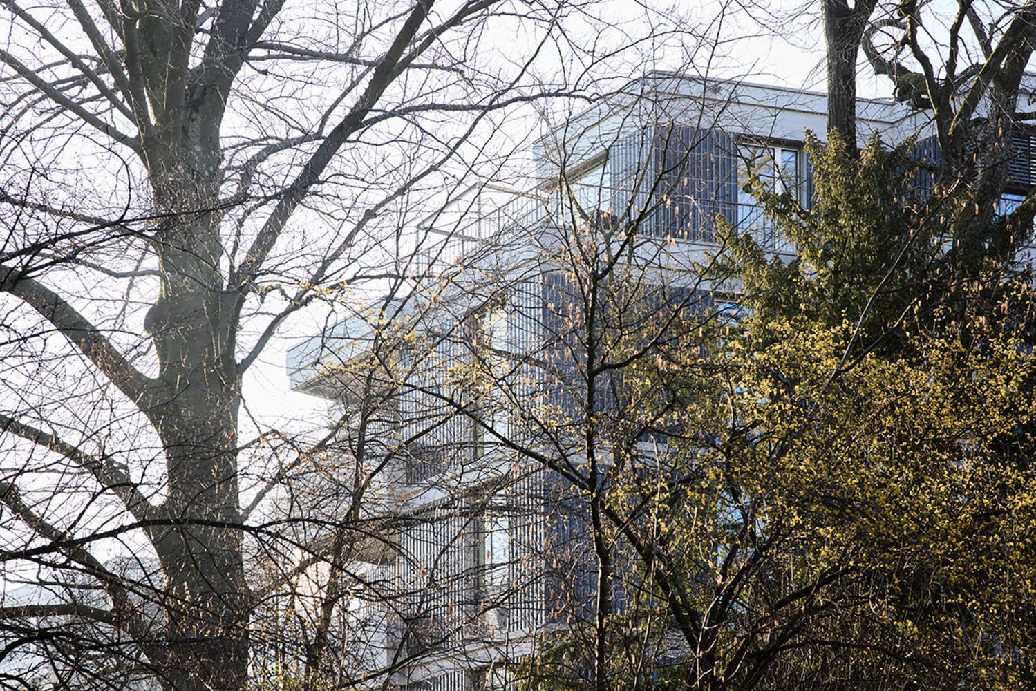 Das neue Quartier profitiert von dem alten Baumbestand und der erhöhten Lage mit Blick über den Zürcher See.