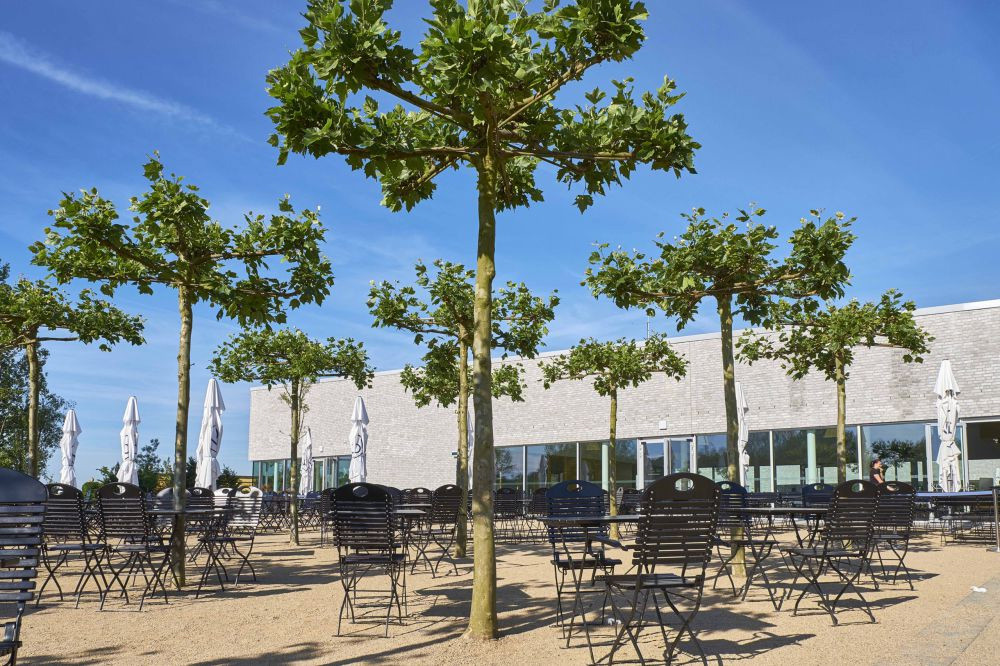 Besucherzentrum Gärten der Welt in Berlin Stadt und Dachbegrünung