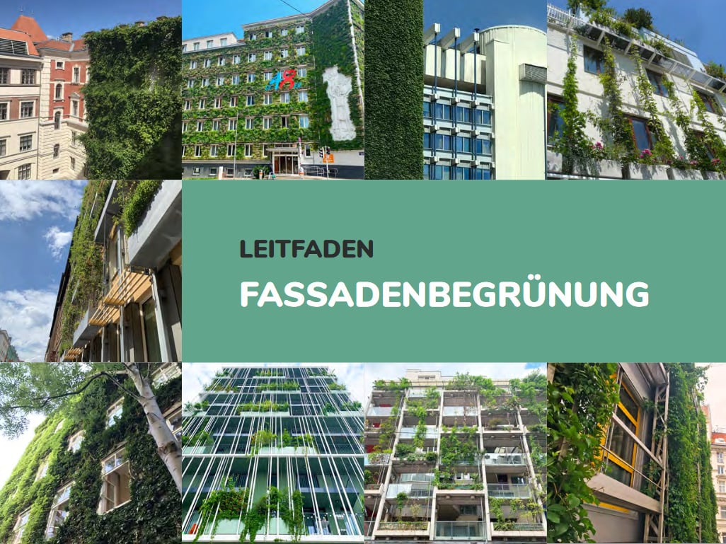 Leitfaden Fassadenbegrünung