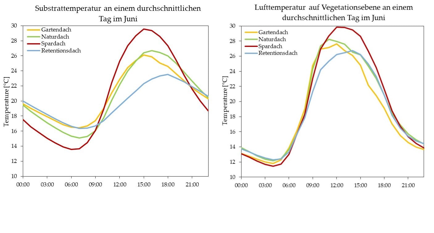 Während das Substrat des Daches mit geringer Substrat- und Wasserspeicherschicht in den Mittagsstunden im Durchschnitt eine Temperatur von beinahe 30 °C erreicht, misst das Substrat des Retentionsdaches lediglich 22°C. 