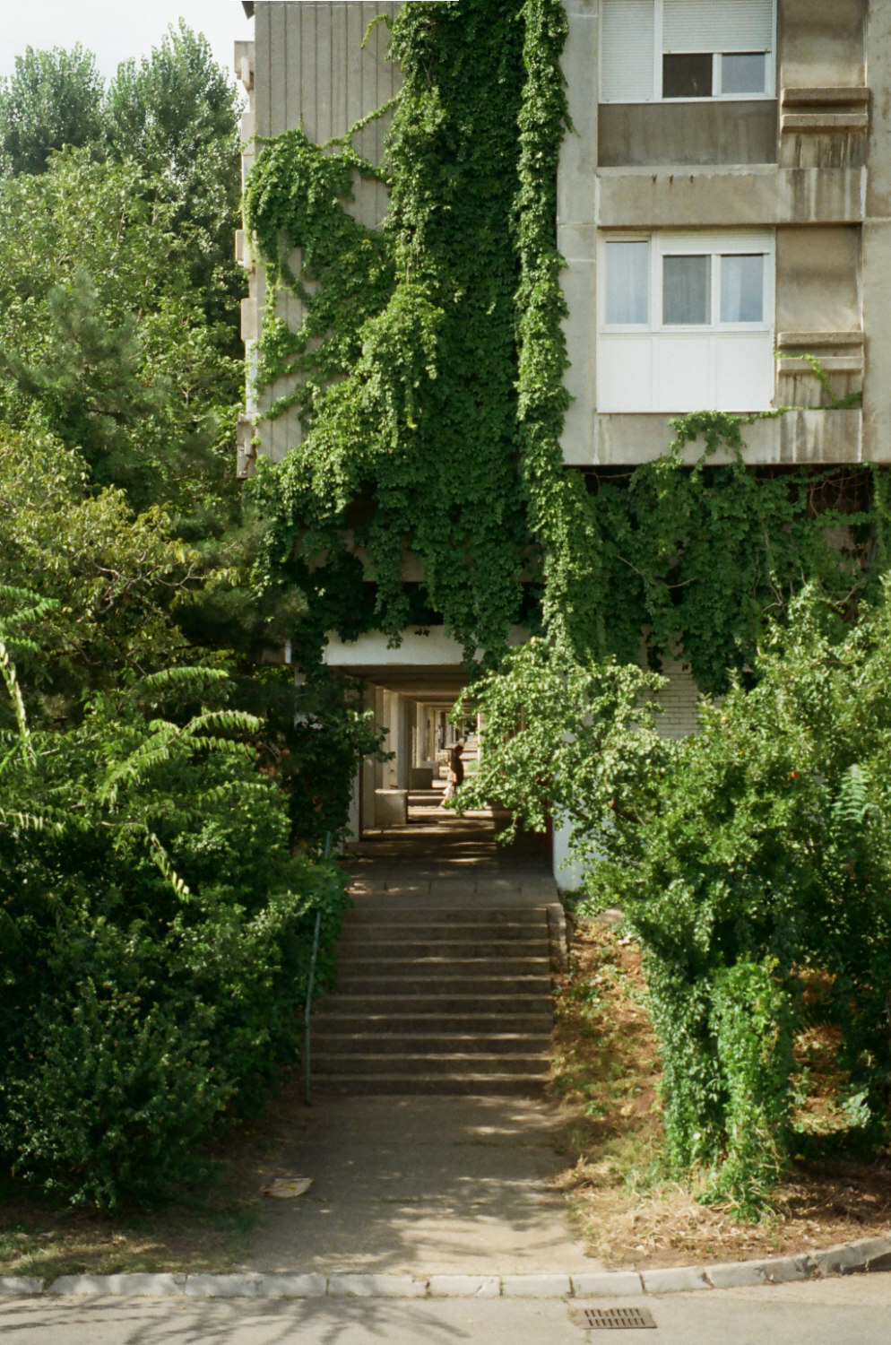 Überwucherung an Fassade von Wohngebäude in Belgrad