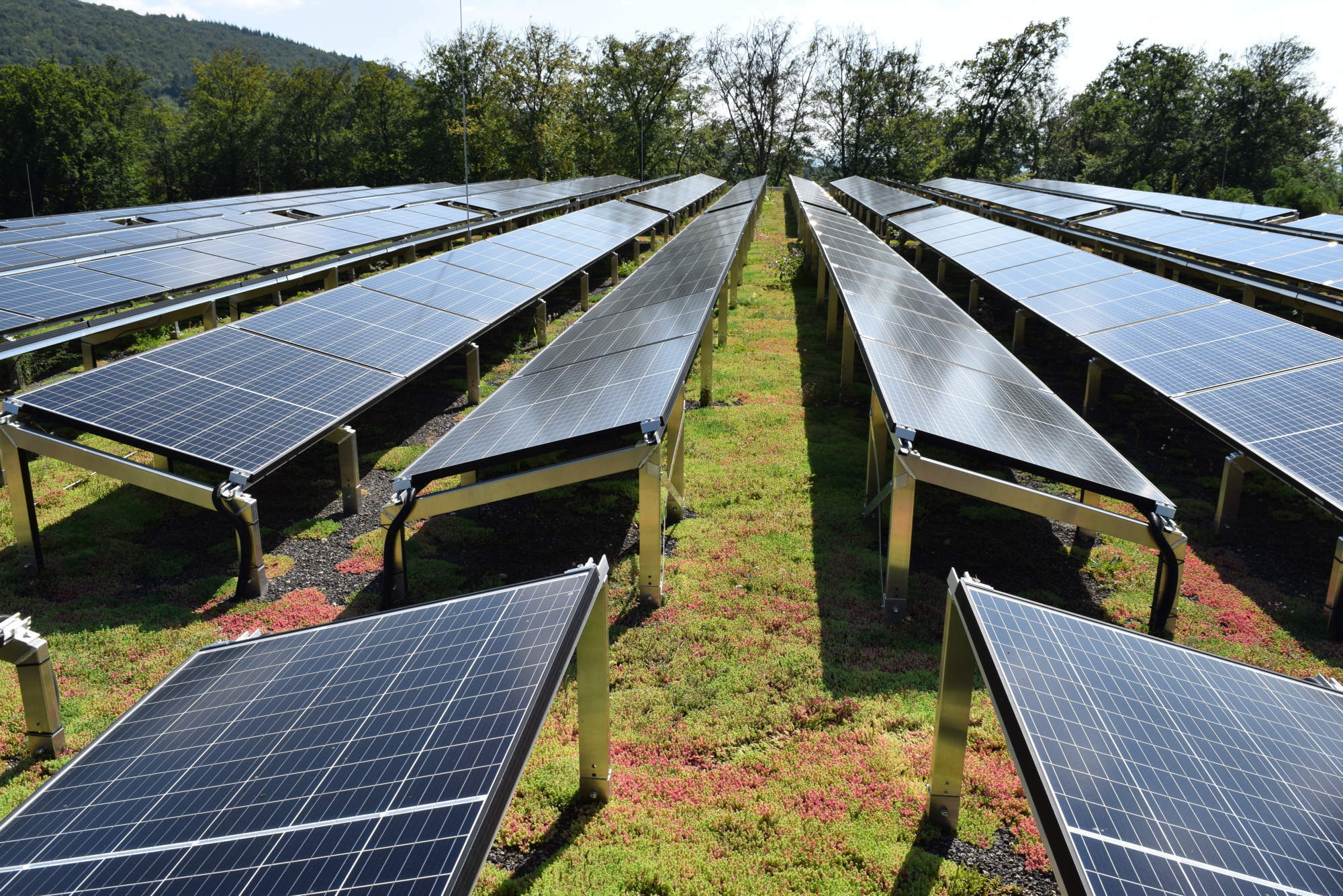 Die Solaranlage wurde auf dem 2.117 Quadratmeter großen Dach des Heidelberger Parkhauses aufgeständert.