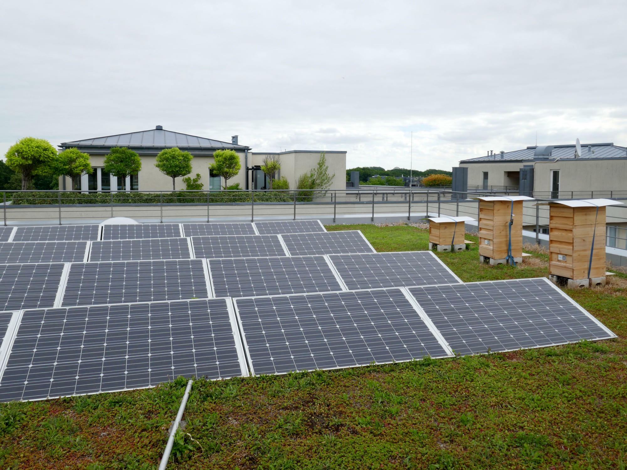 Begrünte Dächer bewirken eine reduzierte Umgebungstemperatur, was zu einer Erhöhung des Wirkungsgrades der Solarzellen führt.