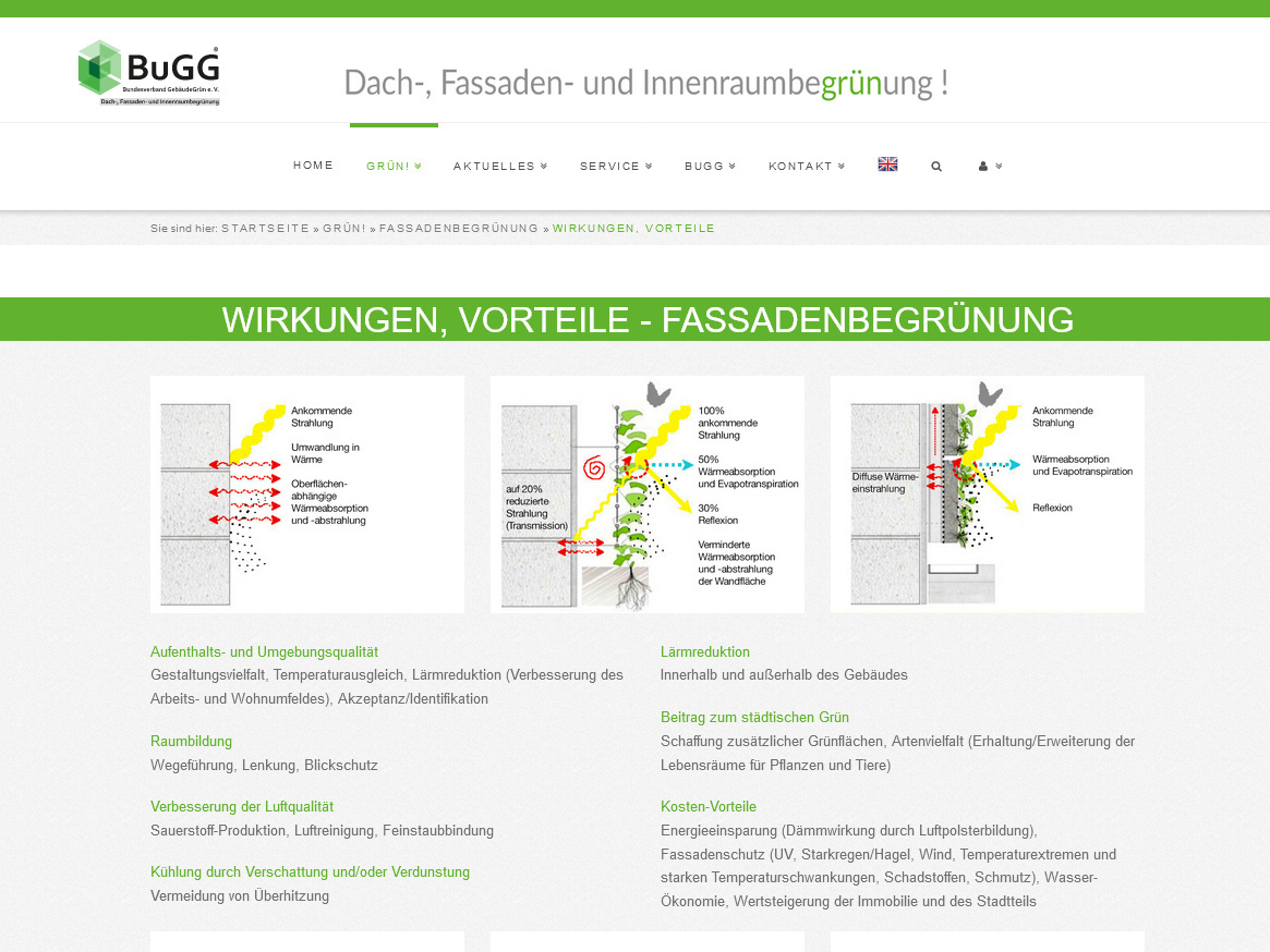 ... zu Fassadenbegrünungen, zu Förderungen und aktuellen Entwicklungen...