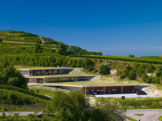 Ansicht Ost: Das Gebäudevolumen ist verteilt auf drei zueinander versetzten Ebenen, die mit den Weinbergterrassen verzahnt sind
