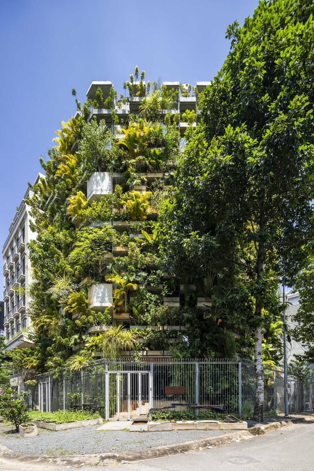 Die gesamte Fassade des sechsgeschossigen Gebäudes zeigt sich in einem üppigen satten Grün.