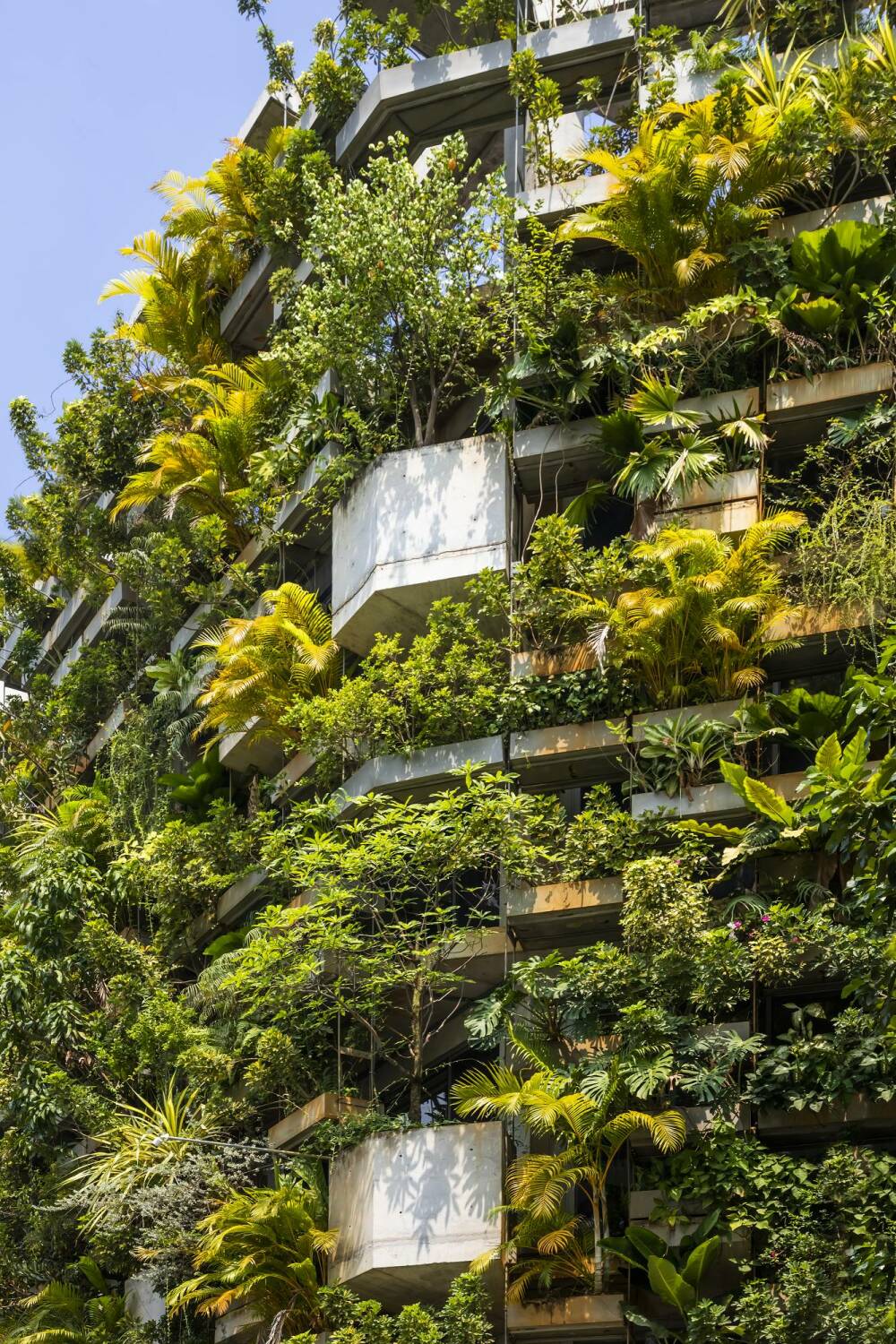 Urban Farming Office in Ho-Chi-Minh-Stadt | Sonnenschutz | Büro ...
