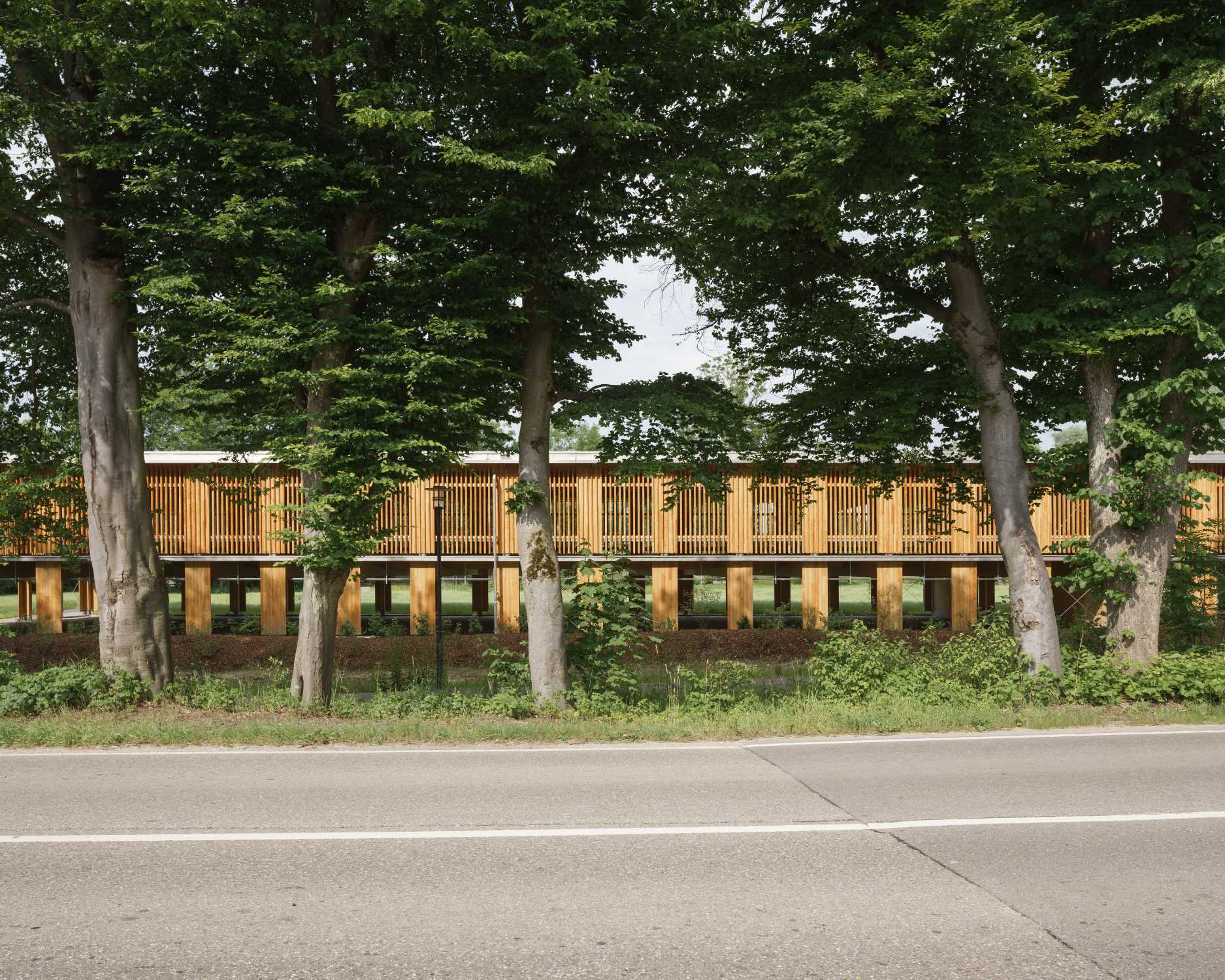 Die Materialität des Parkhauses fügt sich gut in den Baumbestand ein.