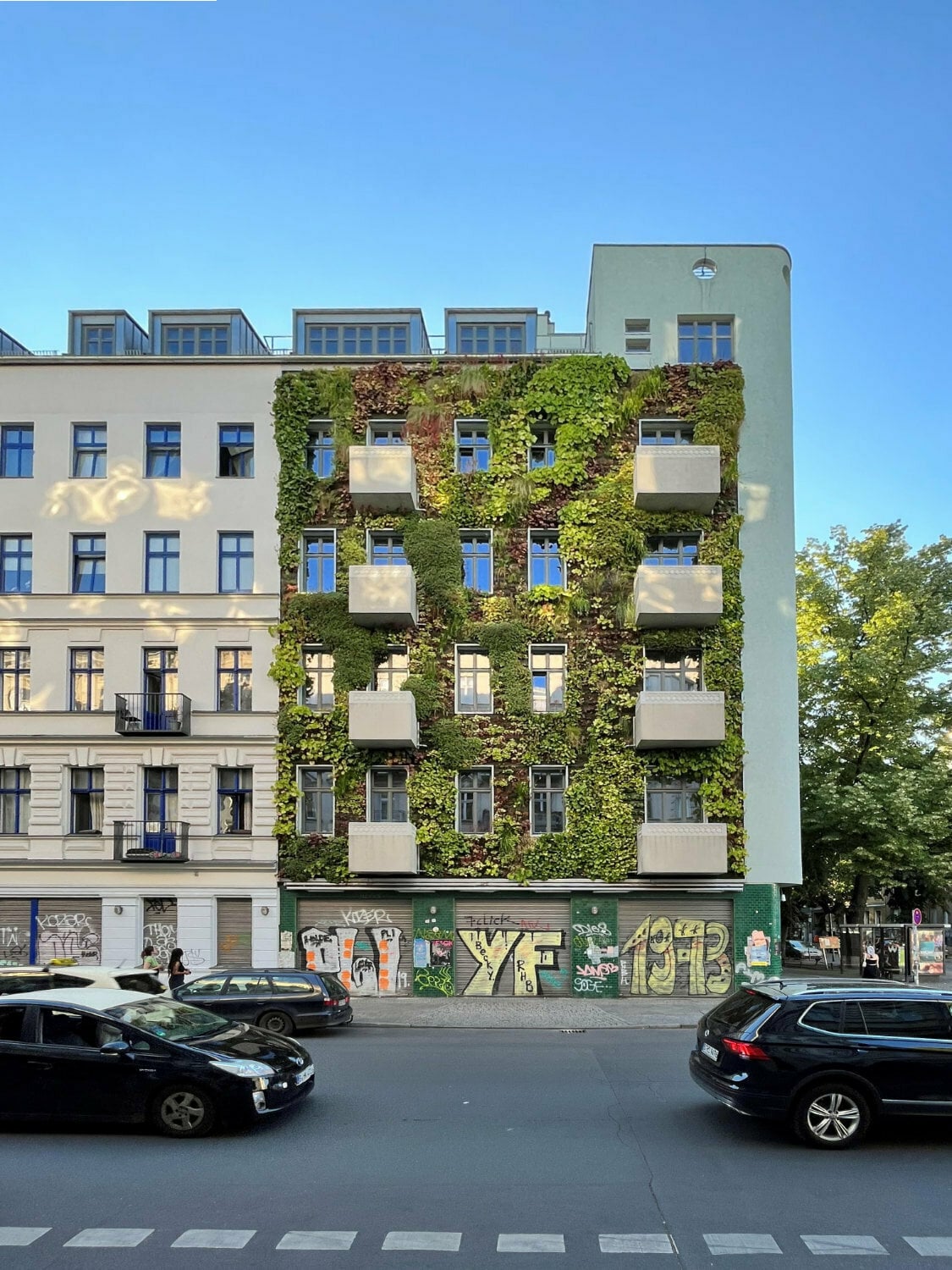 Auch Fassadenbegrünungen, die dem sommerlichen Wärmeschutz zugutekommen, werden gefördert.