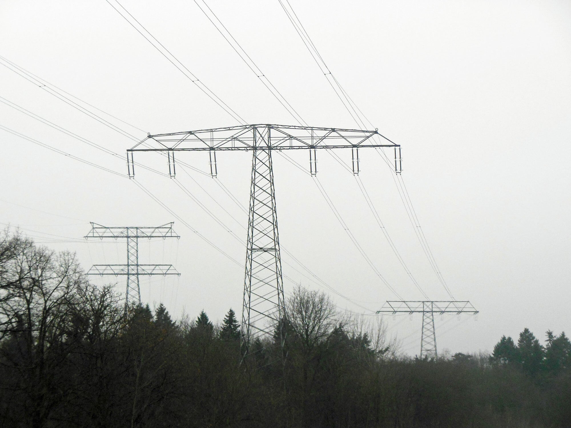 Die Studie des Verbands der Elektro- und Digitalindustrie ermittelt, welche Anforderungen zukünftige Stromnetze erfüllen müssen, um den Weg zur Klimaneutralität bis 2045 bestreiten zu können. 