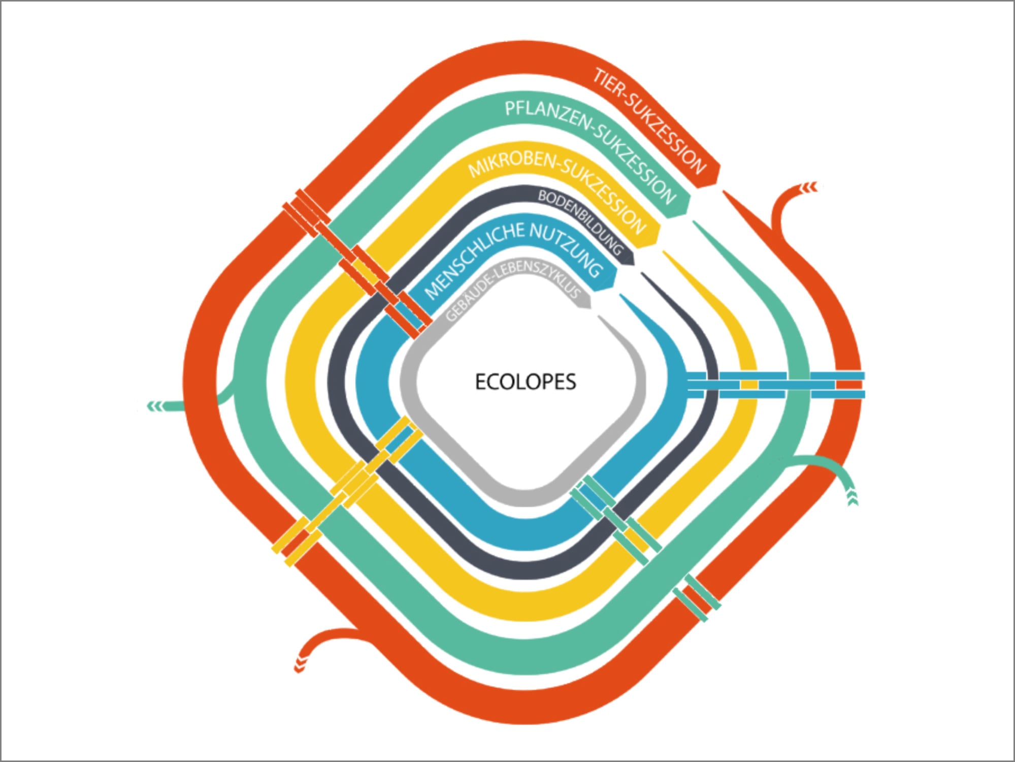 Im Rahmen des Forschungsprojekts Ecolopes wird ein Entwurfsverfahren für Gebäudehüllen entwickelt, das biotische und abiotische Faktoren einbezieht.