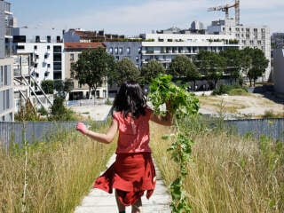 Begrünte Schule als ökologisches und pädagogisches Modellprojekt in Boulogne-Billancourt