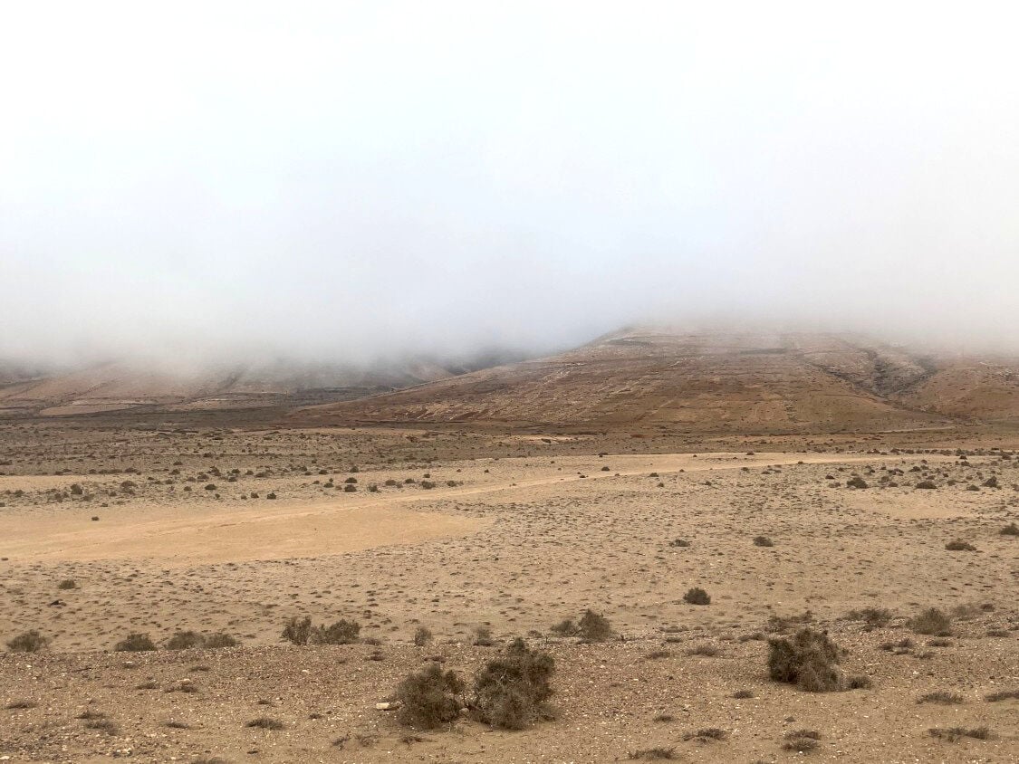 Der natürliche Wasserkreislauf spielt eine maßgebliche Rolle für die Erhaltung des Wasserbestands.