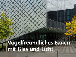Die Broschüre informiert, wie sich tödliche Kollisionen von Vögeln mit Glasscheiben verhindern lassen.
