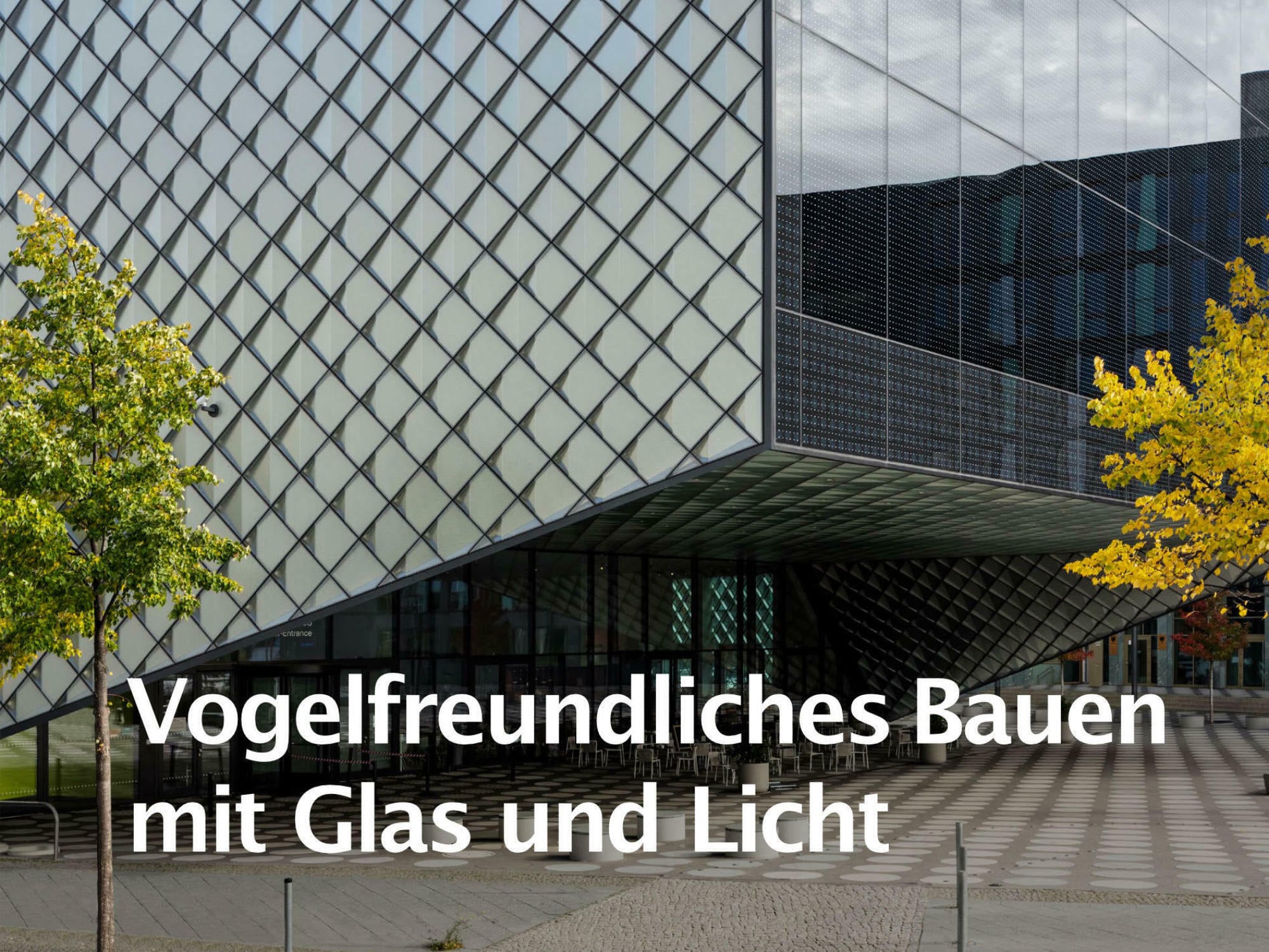 Die Broschüre informiert, wie sich tödliche Kollisionen von Vögeln mit Glasscheiben verhindern lassen.