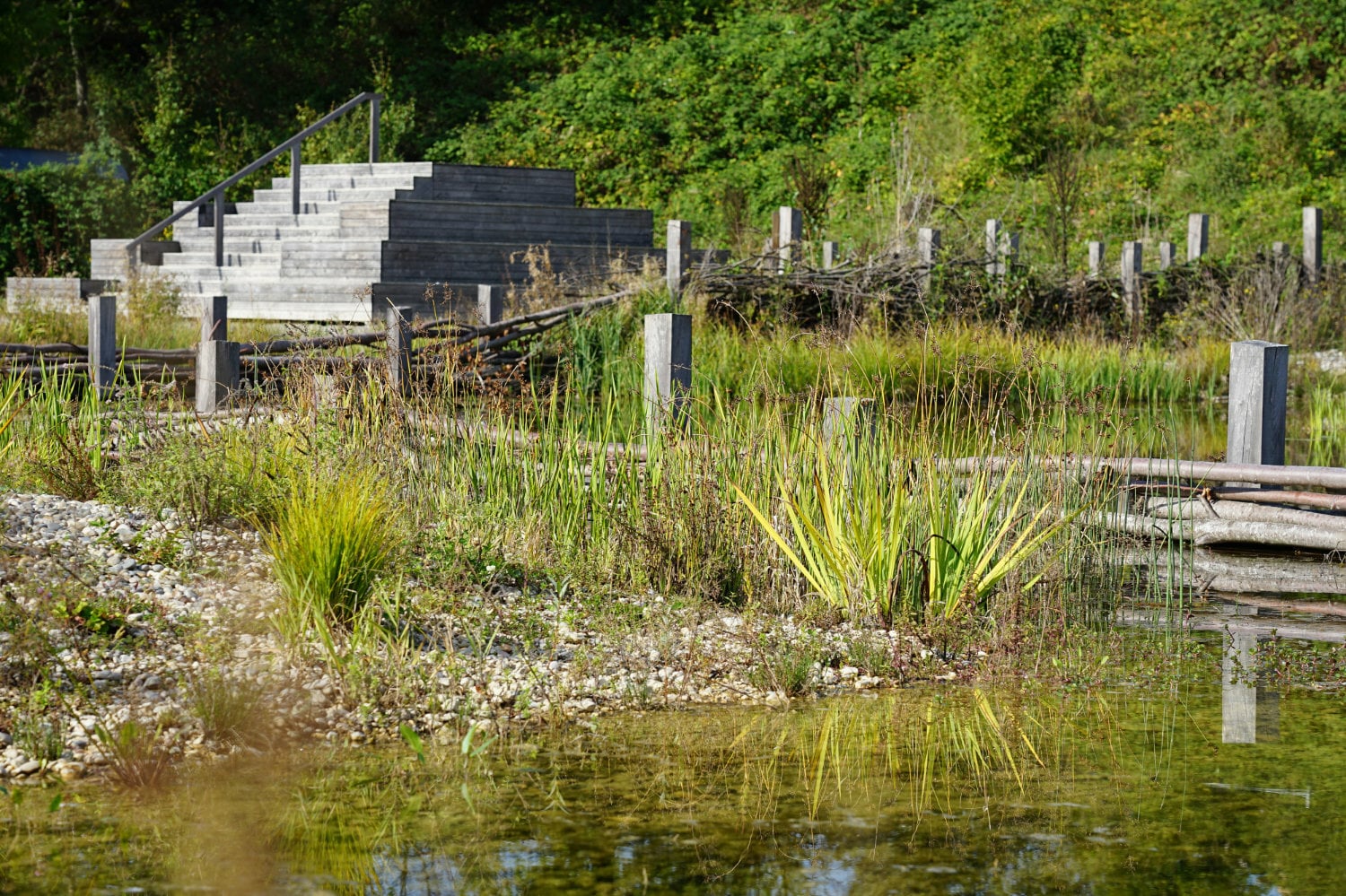 Eine Holzpyramide ermöglicht von außen einen Einblick in die nicht zu betretende Naturschutzzone.
