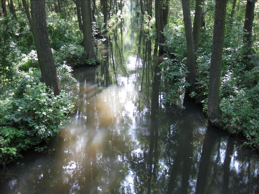 Oberflächenwasser bezeichnet das sichtbare Wasser, das sich an der Erdoberfläche sammelt.