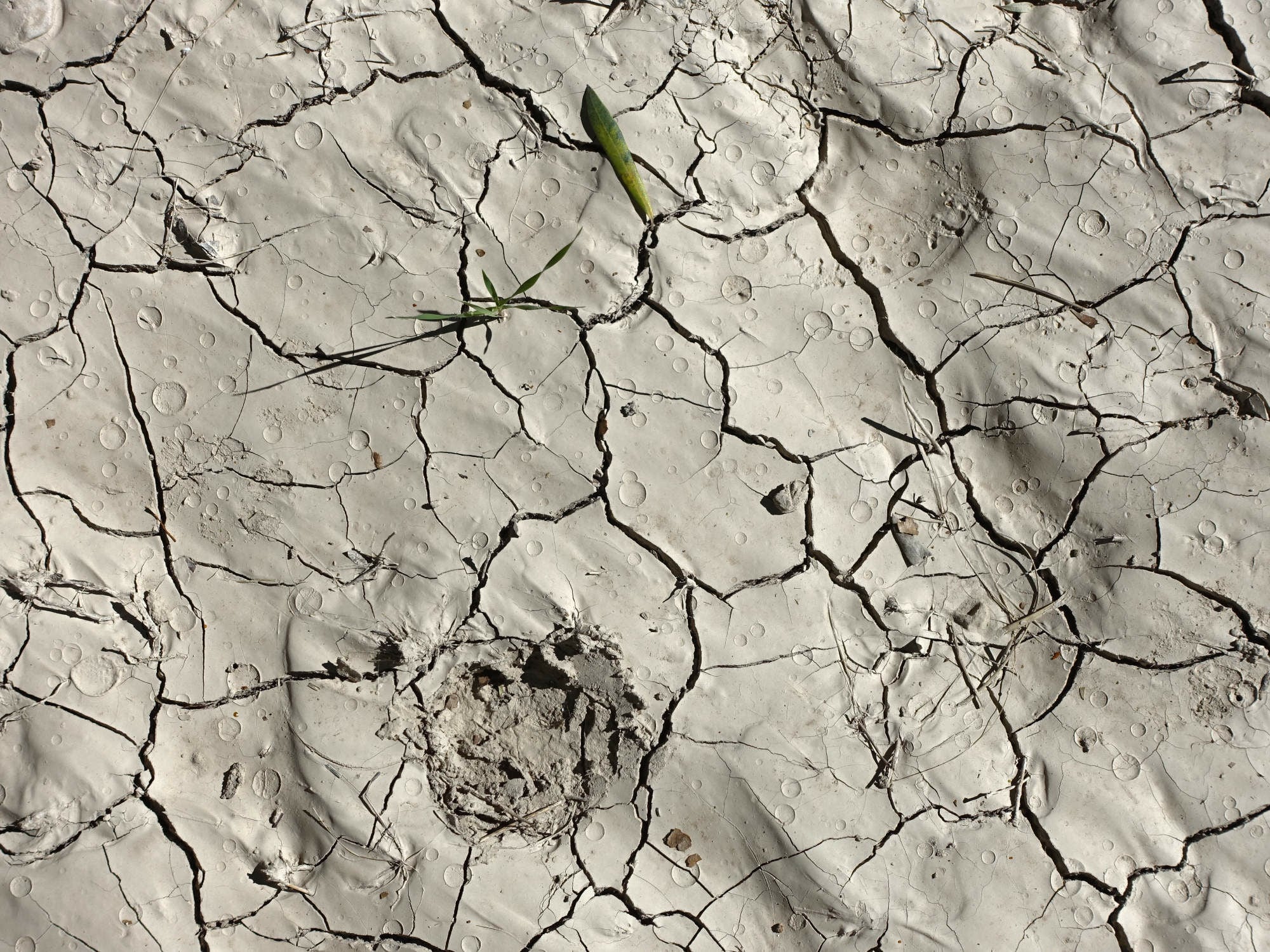 Die weltweite Wasserknappheit verschärft sich rasant. Ein Hauptfaktor ist der hohe Wasserverbrauch, insbesondere in Landwirtschaft, Industrie und städtischen Gebieten.