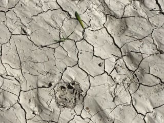 Die weltweite Wasserknappheit verschärft sich rasant. Ein Hauptfaktor ist der hohe Wasserverbrauch, insbesondere in Landwirtschaft, Industrie und städtischen Gebieten.