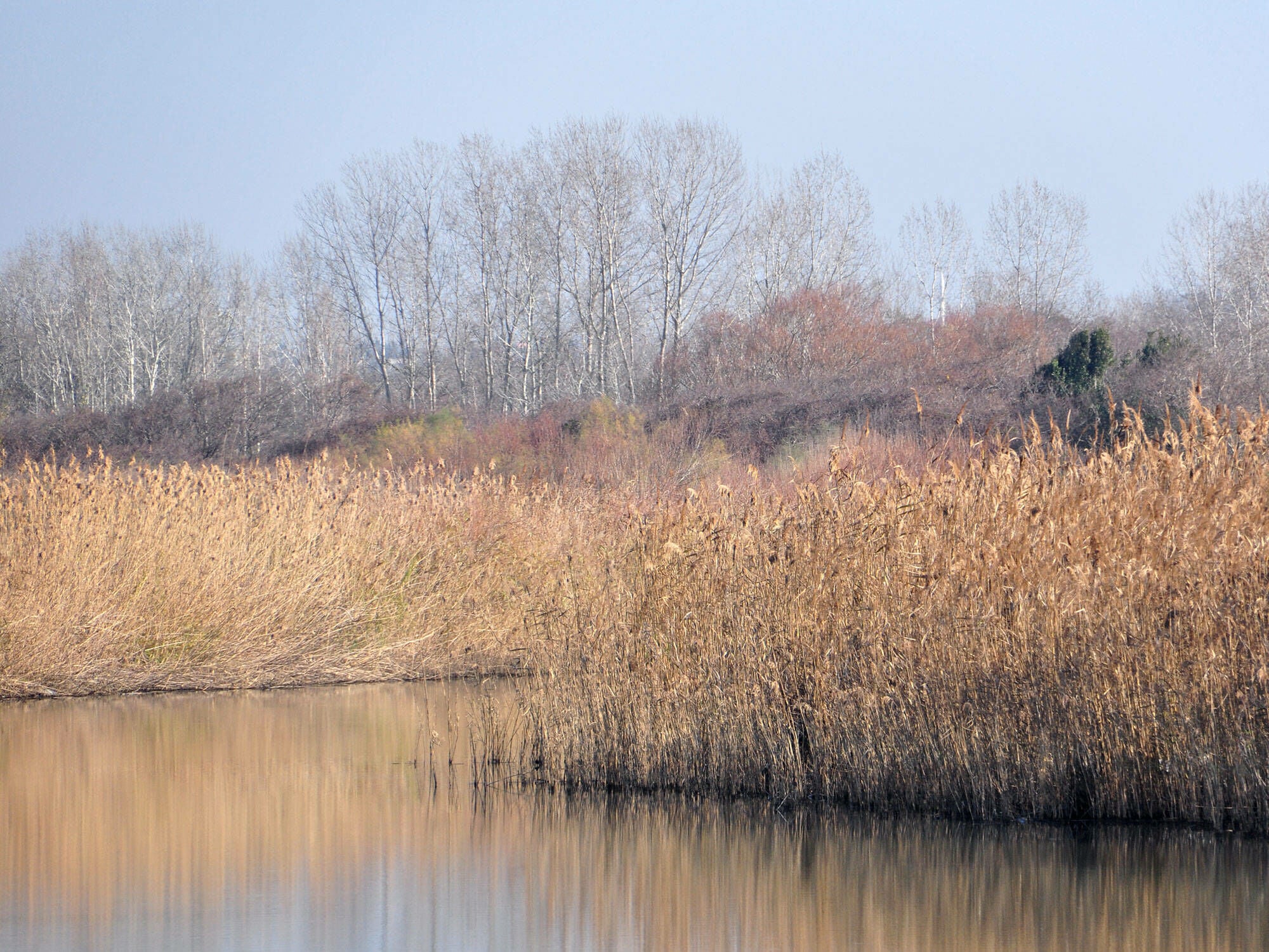 Wasser ist auch ein ökonomisches und soziales Gut: im Bild der Ferlacher Stausee in Österreich, der Rückstausee eines Wasserkraftwerks und zugleich Naherholungsgebiet.