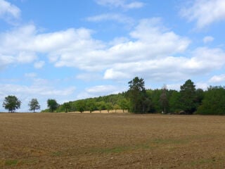 Landschaftspflegerische Maßnahmen müssen ergriffen werden, um die Auswirkungen von Eingriffen in Natur und Landschaft auszugleichen oder zu ersetzen.