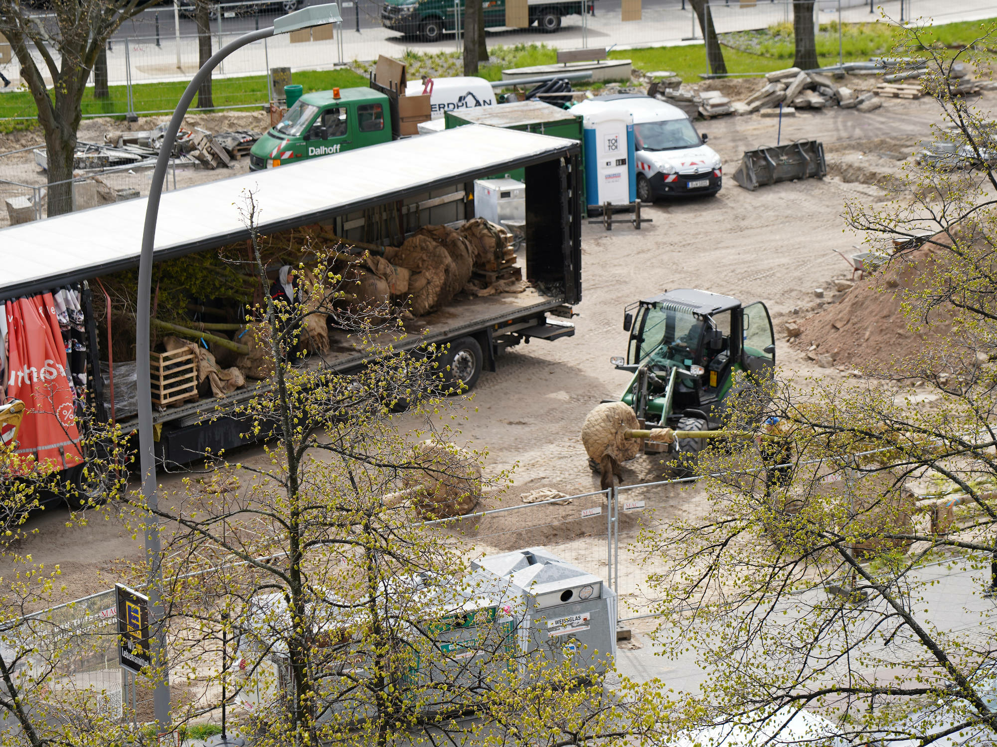Pflanzen neuer Stadtb&auml;ume am Olivaer Platz Berlin, Architektur: Rehwaldt Landschaftsarchitekten