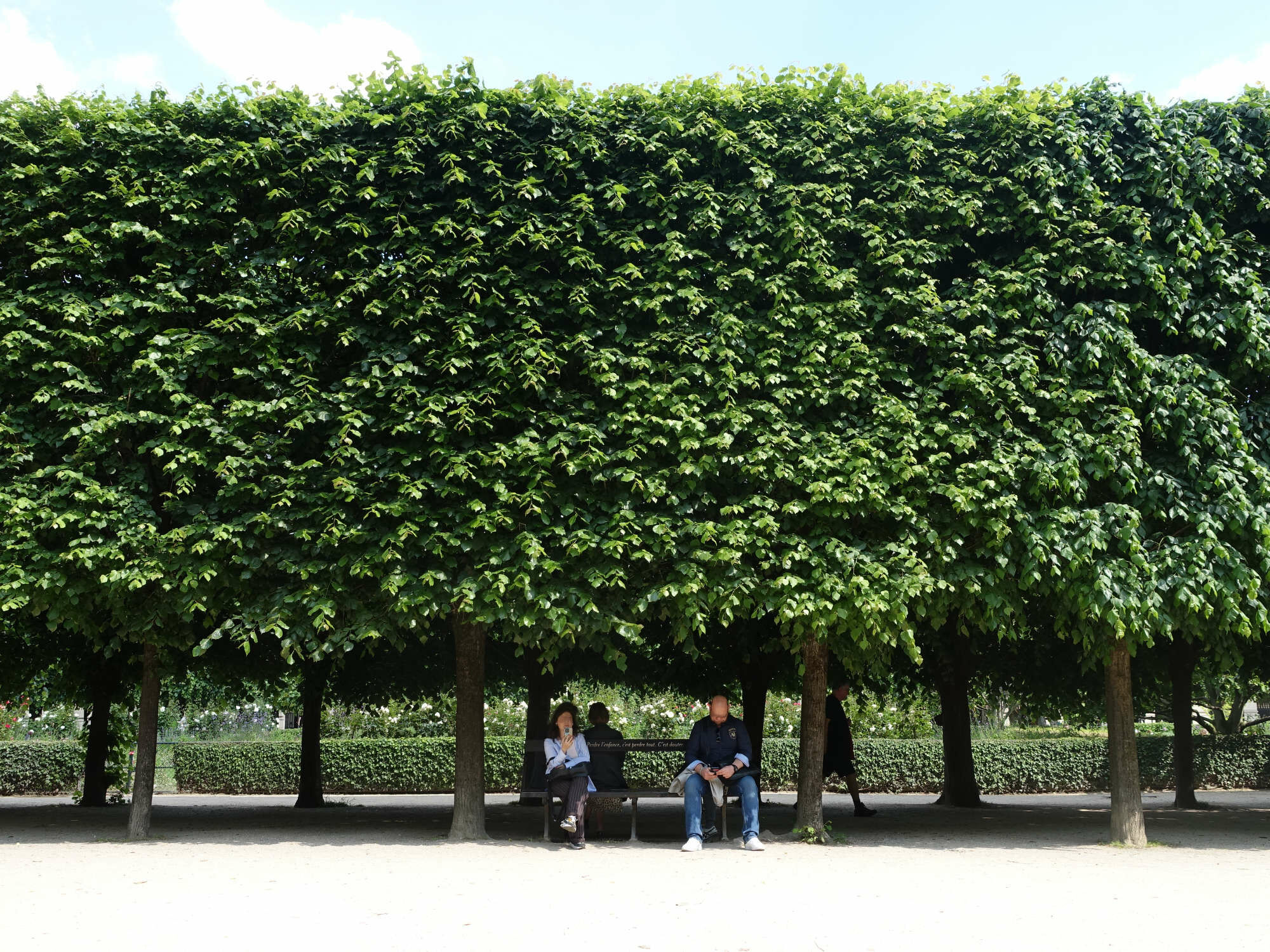 Urbanes Grün trägt zur Naherholung und sozialen Interaktion bei. Im Bild der Jardin du Palais Royal im 1. Arrondissement von Paris.