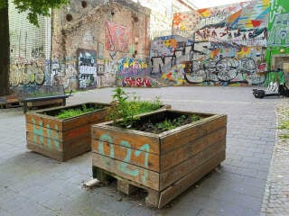 Bei versiegelten oder ungeeigneten Böden sind Hochbeete eine Alternative für einen Garten.