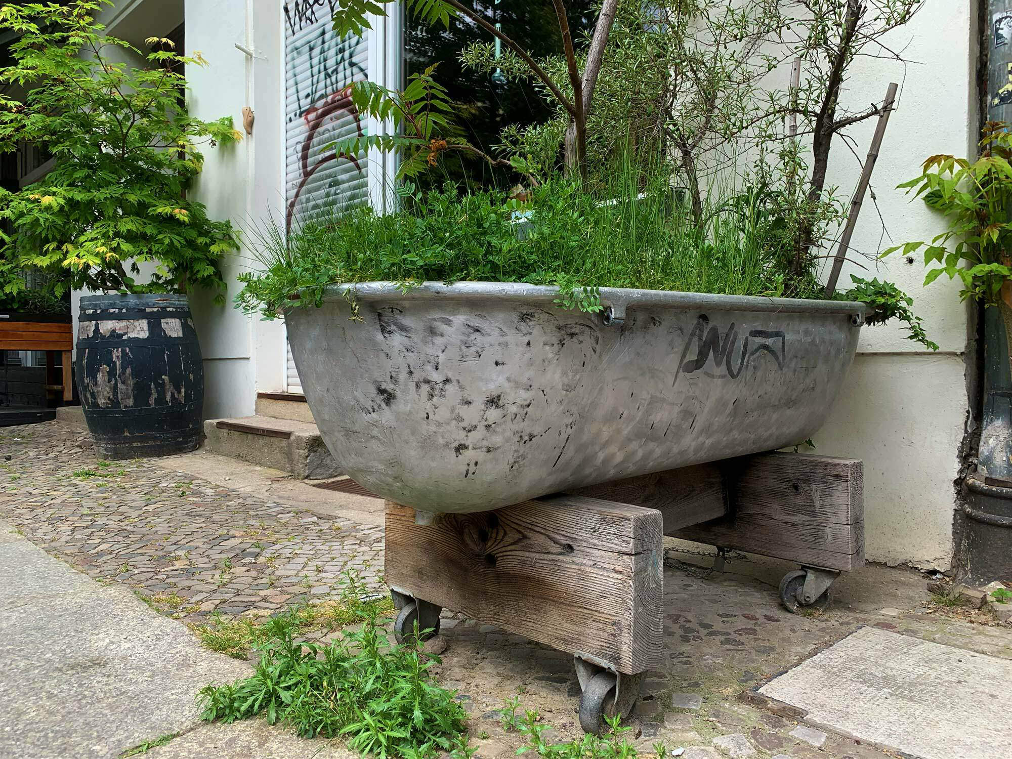 Häufig zu sehn sind Kästen aus alten Brettern, Bottiche und Wannen aus Kunststoff, verzinkte Metallkästen und Fässer ebenso wie Materialmischungen. Im Bild: Ein rollbares „Trogbeet“ in Berlin Prenzlauer Berg