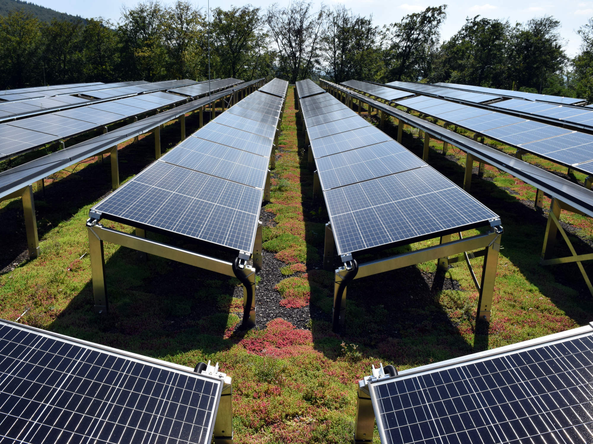 Solargründach mit Ost-West-Ausrichtung auf dem Parkhaus des Forschungslabors EMBL in Heidelberg mit 578 PV-Modulen in Ost-West-Verlegung