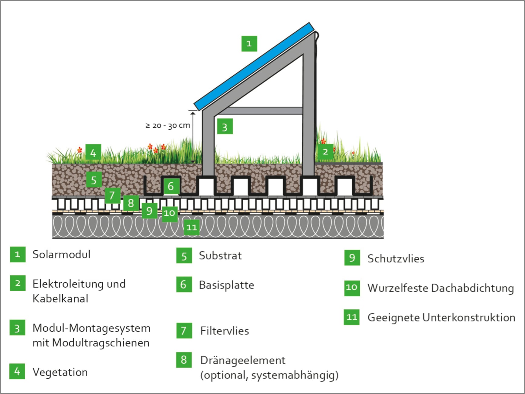 Schematische Darstellung des Aufbaus eines Solargründachs 