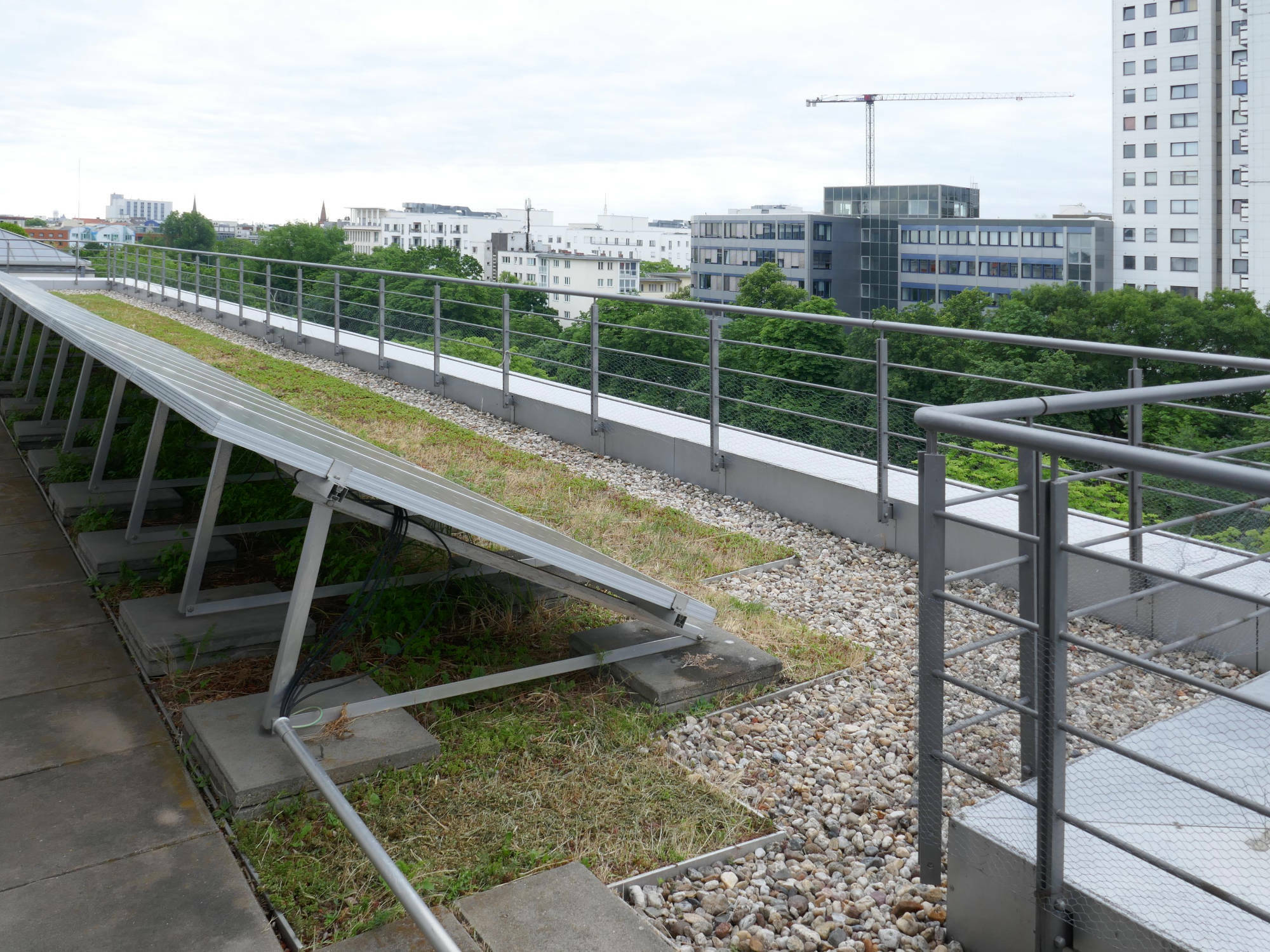 Eine regelmäßige und fachgerechte Instandhaltung sowohl der Dachbegrünung als auch der Solaranlage ist unerlässlich